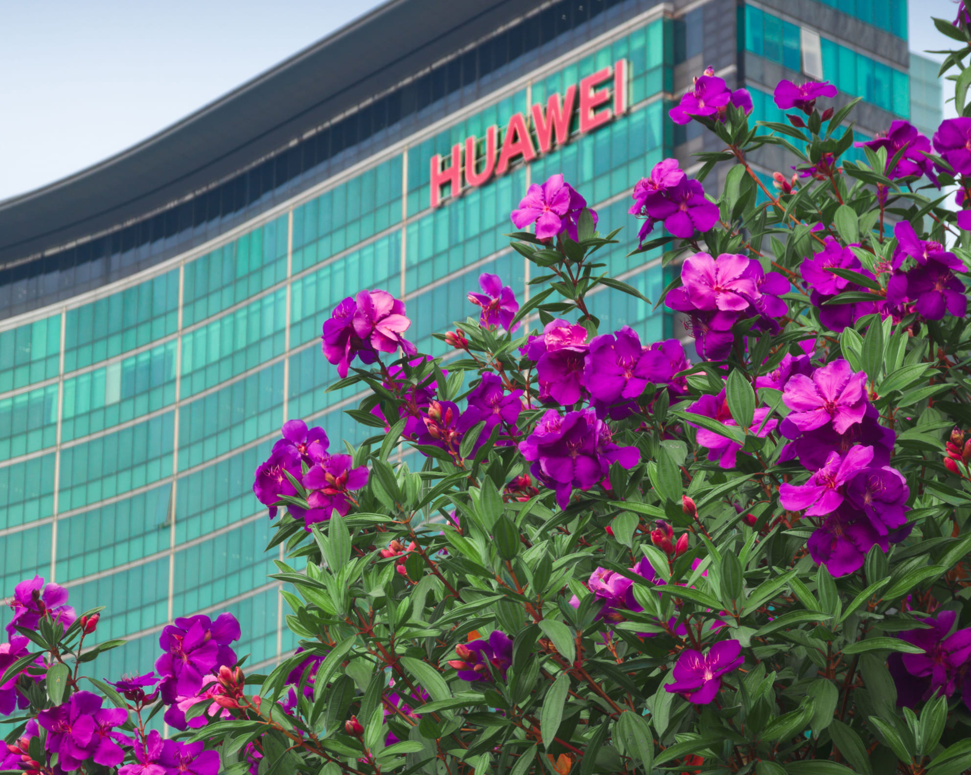 شعارا Huawei وQualcomm جنباً إلى جنب، تعبيراً عن اتفاقية ترخيص براءات 5G والذكاء الاصطناعي